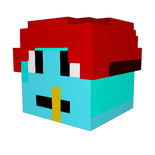 rakel135 Minecraft avatar head, 3D render