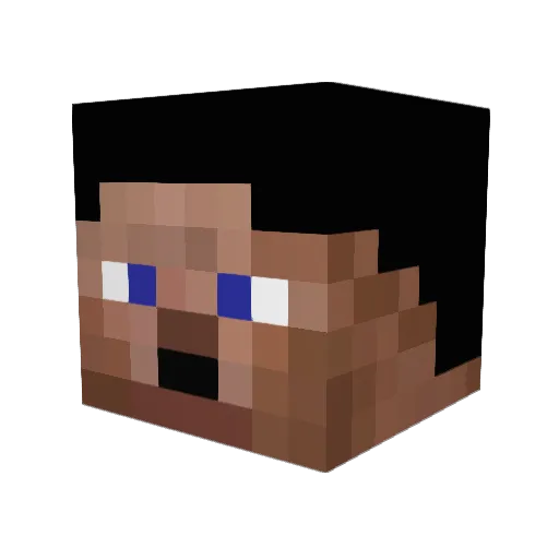 rakentaja9902 Minecraft avatar head, 3D render