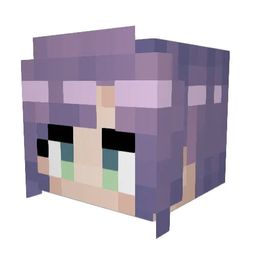 rakko999 Minecraft avatar head, 3D render