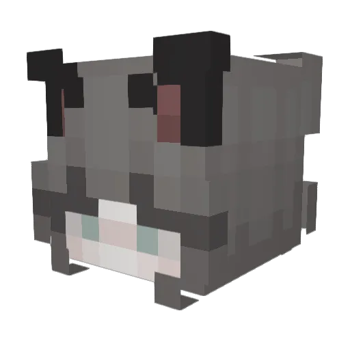 rakoexe Minecraft avatar head, 3D render