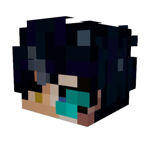 rakun0026 Minecraft avatar head, 3D render