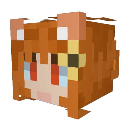 rakyvoll Minecraft avatar head, 3D render