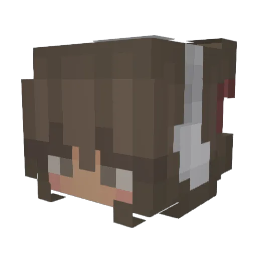 ramenbear12 Minecraft avatar head, 3D render