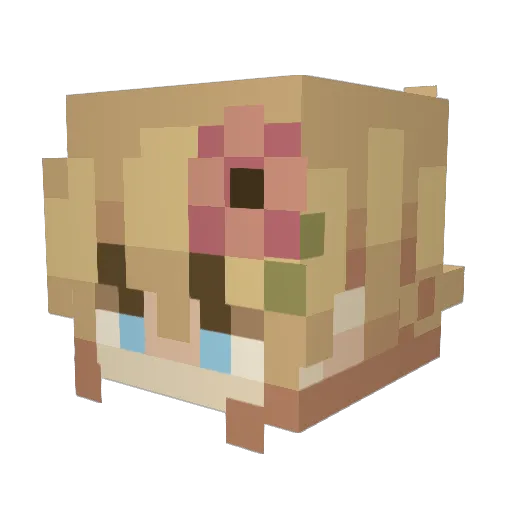 ramenbottle Minecraft avatar head, 3D render