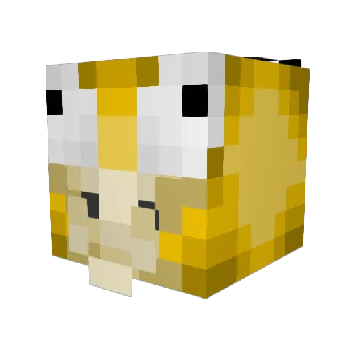 ramenmcdonald Minecraft avatar head, 3D render