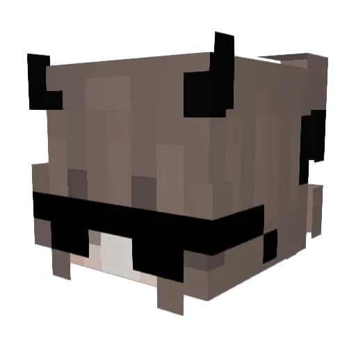 ramigom Minecraft avatar head, 3D render