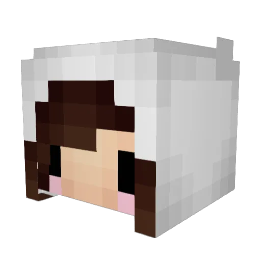 ramimaleksboxers Minecraft avatar head, 3D render