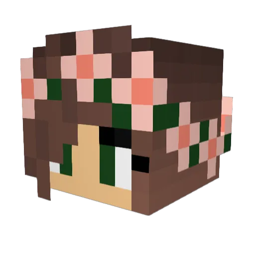 ramona45 Minecraft avatar head, 3D render