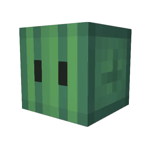 ran1larnk Minecraft avatar head, 3D render
