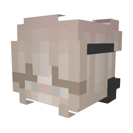 ranbomb Minecraft avatar head, 3D render