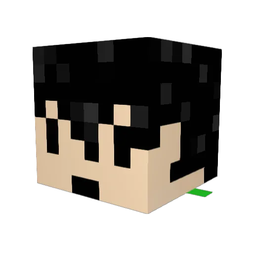 ranborukun Minecraft avatar head, 3D render
