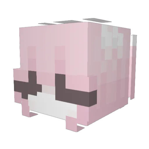 ranck Minecraft avatar head, 3D render