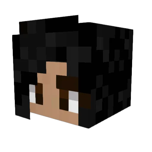 ranclam Minecraft avatar head, 3D render