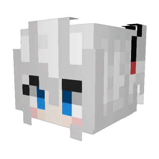 rand0m0531 Minecraft avatar head, 3D render