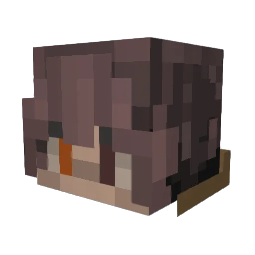 rand0mengineer Minecraft avatar head, 3D render