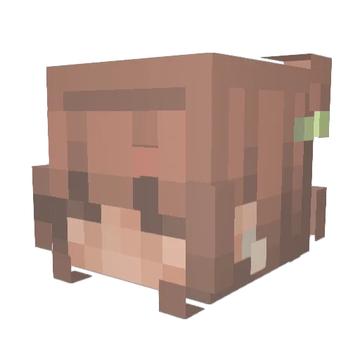 randalerike Minecraft avatar head, 3D render