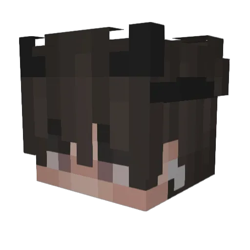 randalize Minecraft avatar head, 3D render