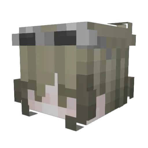 randippi Minecraft avatar head, 3D render