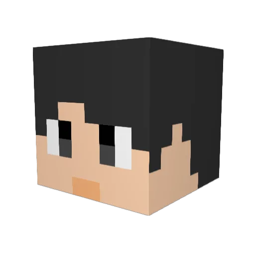 rando2196 Minecraft avatar head, 3D render