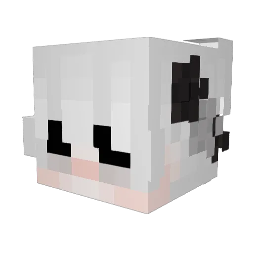 randofran Minecraft avatar head, 3D render
