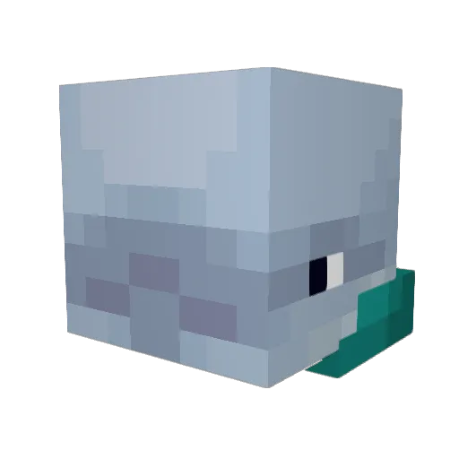 randolphin Minecraft avatar head, 3D render
