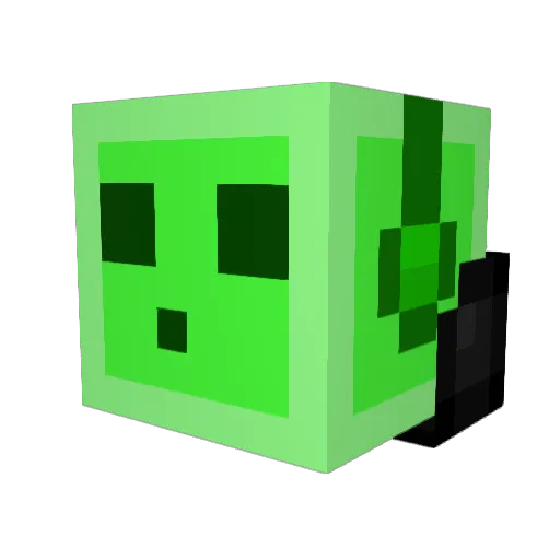 random_is_cool Minecraft avatar head, 3D render