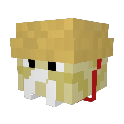 random_jawa5004 Minecraft avatar head, 3D render