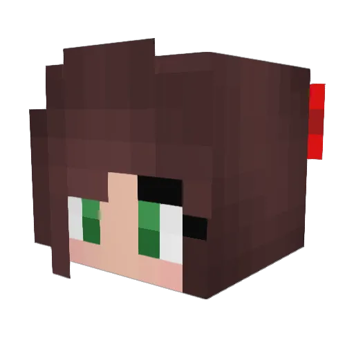 random_name16 Minecraft avatar head, 3D render