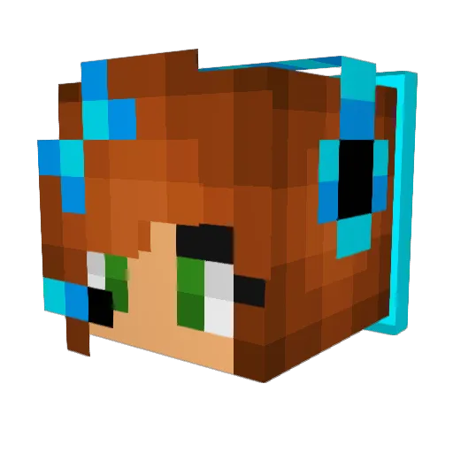 randomboy10 Minecraft avatar head, 3D render