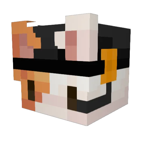 randomcatboy Minecraft avatar head, 3D render