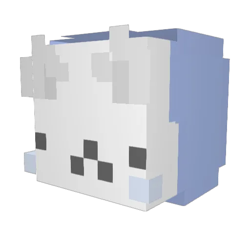 randomdude24 Minecraft avatar head, 3D render