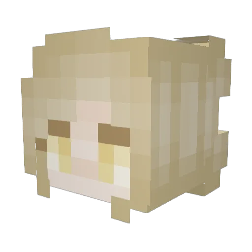 randomevery1 Minecraft avatar head, 3D render
