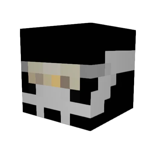 randomfishstick9 Minecraft avatar head, 3D render
