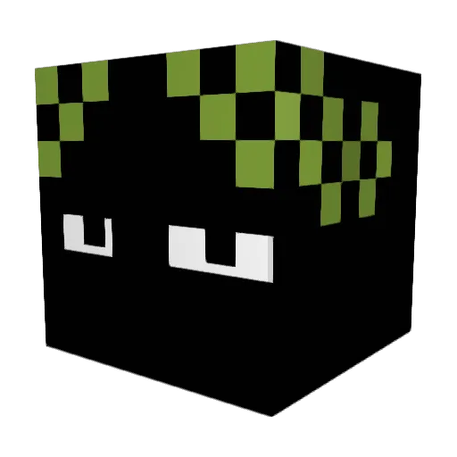 randomgaming1234 Minecraft avatar head, 3D render