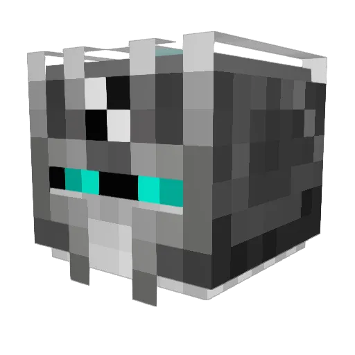 randomguy0078 Minecraft avatar head, 3D render