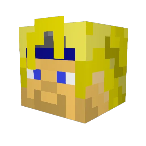 randomguy1226 Minecraft avatar head, 3D render