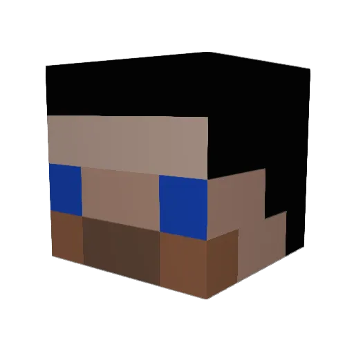 randomguy461 Minecraft avatar head, 3D render