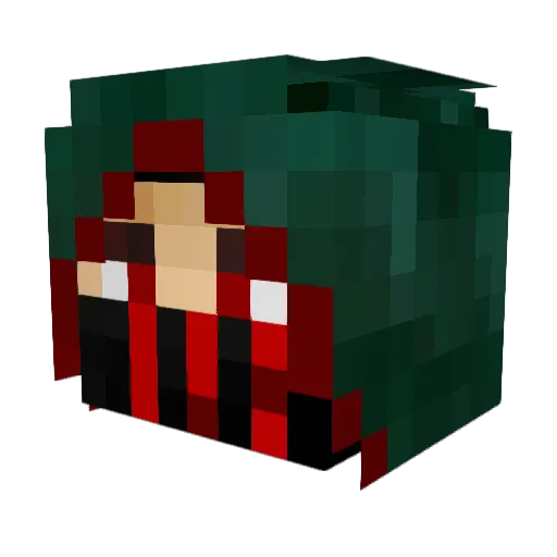 randomguy564 Minecraft avatar head, 3D render