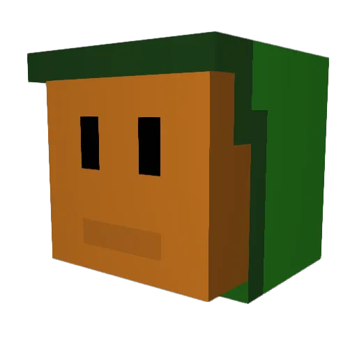 randomguy6260 Minecraft avatar head, 3D render