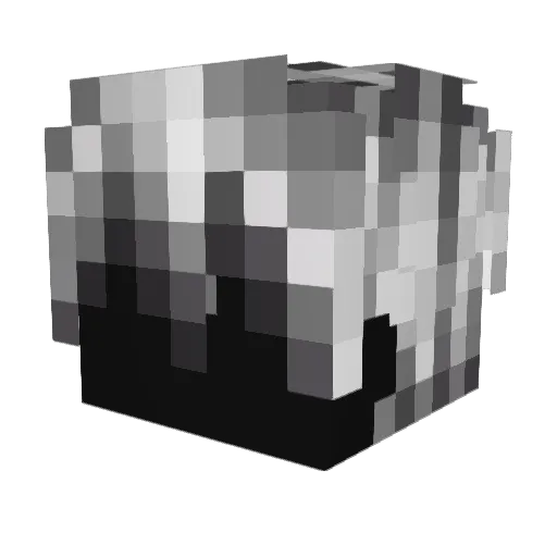randomisim43 Minecraft avatar head, 3D render