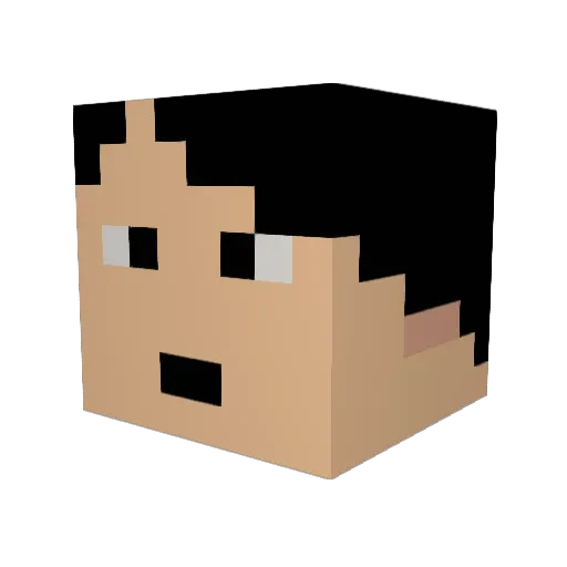 randomlimbs Minecraft avatar head, 3D render
