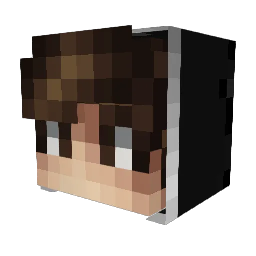 randomperson201 Minecraft avatar head, 3D render