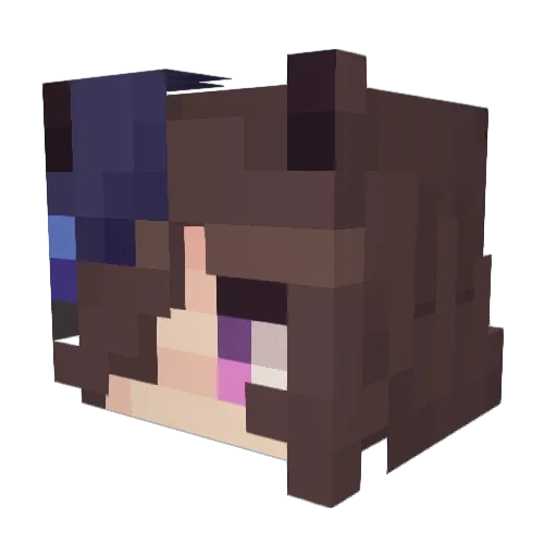 randomperson831 Minecraft avatar head, 3D render