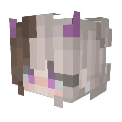 randompersons Minecraft avatar head, 3D render