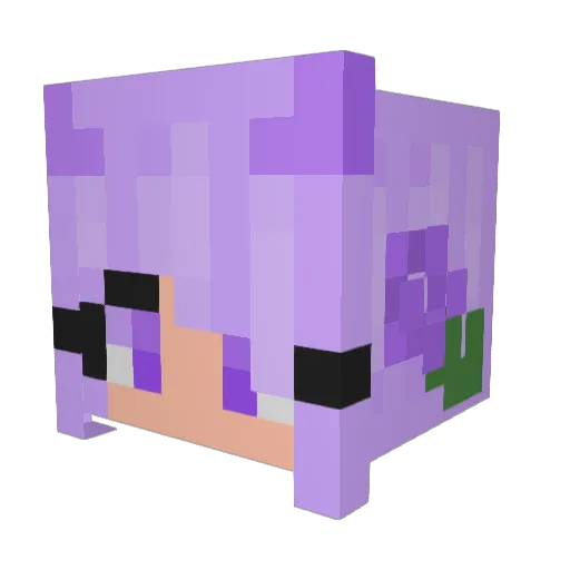randompte Minecraft avatar head, 3D render