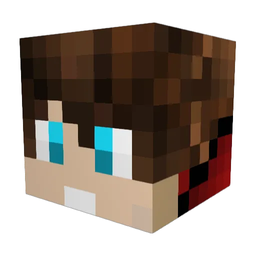 randomsam4ever Minecraft avatar head, 3D render