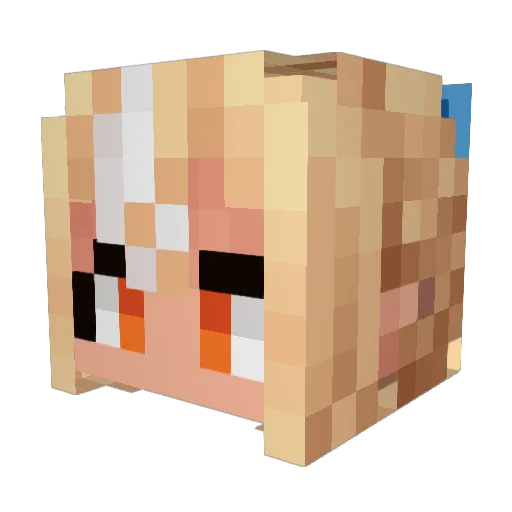 randomzeldafan3 Minecraft avatar head, 3D render