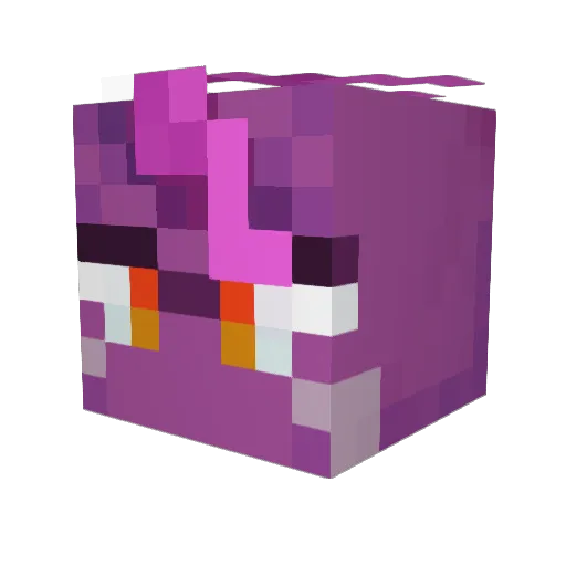 randoomon Minecraft avatar head, 3D render