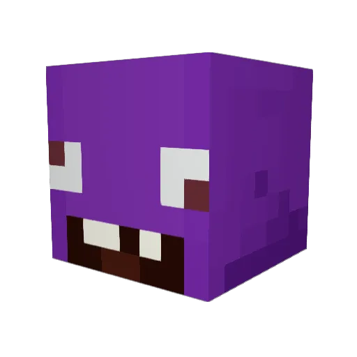 randumsmbm Minecraft avatar head, 3D render