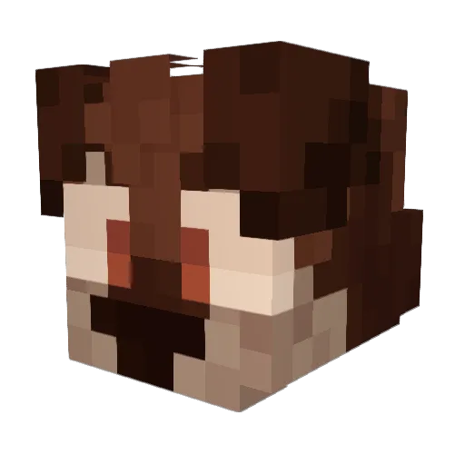 randyeatsice Minecraft avatar head, 3D render